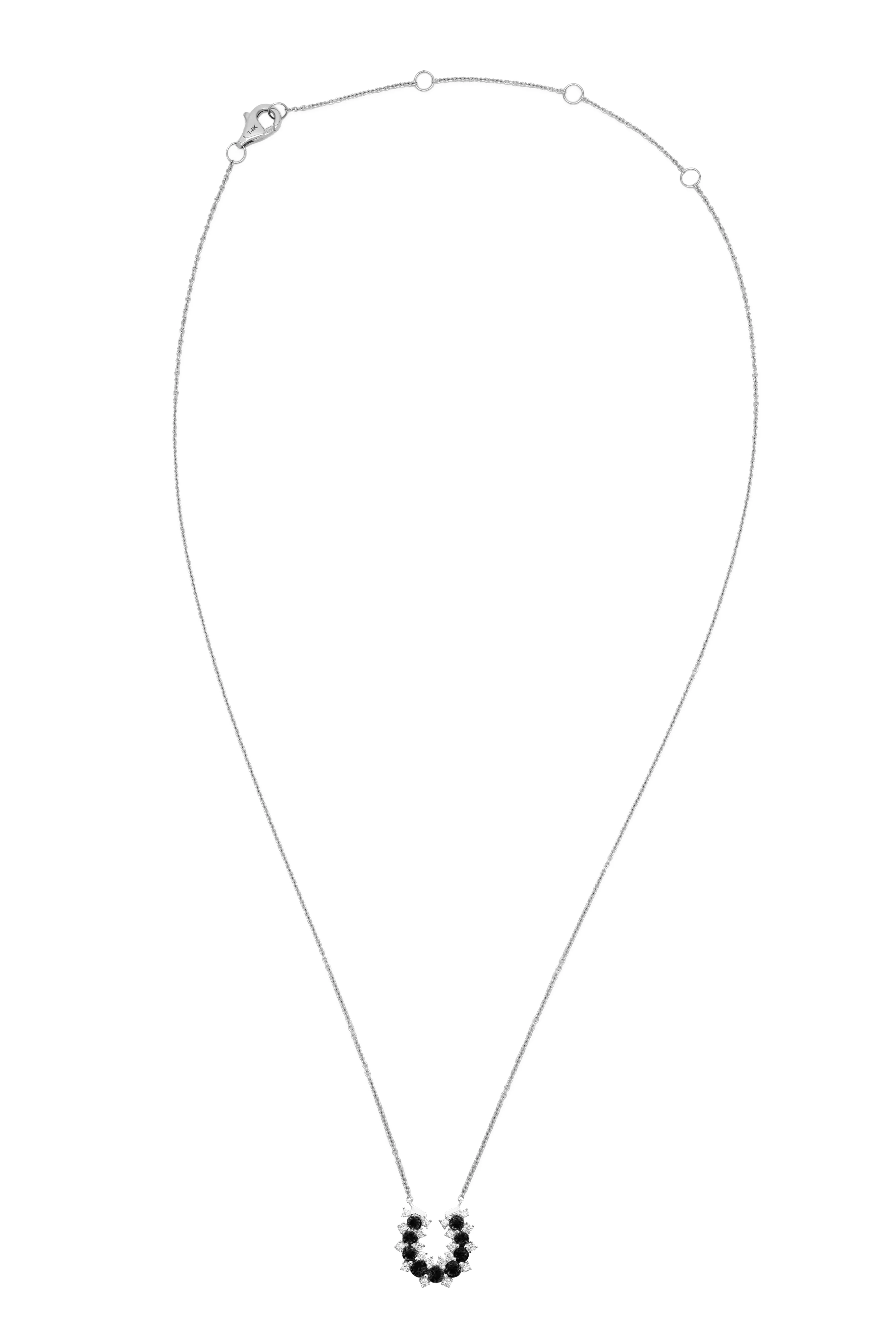 14k White Gold Black Diamond/Lucky Horseshoe Necklace