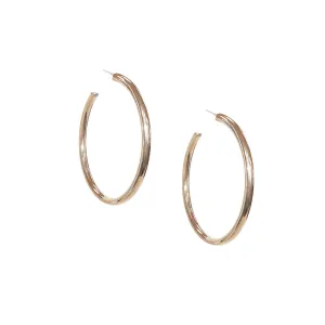 2 1/2" Hollow Post Hoop