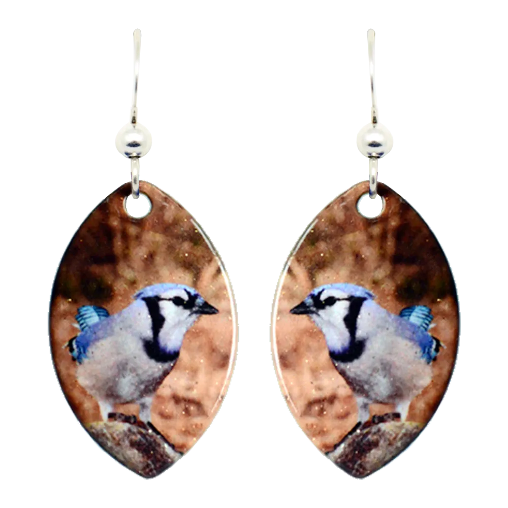 Blue Jay Earrings, Sterling Silver Earwires, Item# 1420