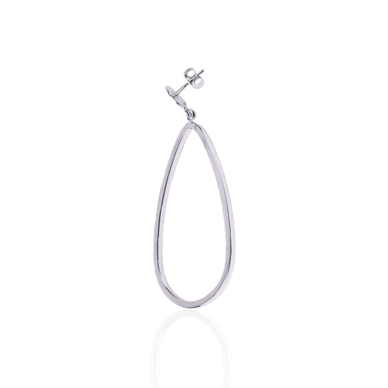 Elegant Dangling Earrings