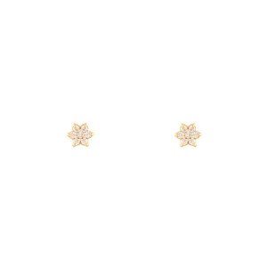 Flower Stud Earring