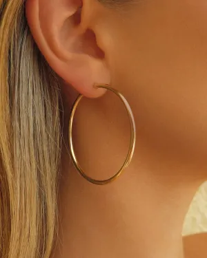 Large Hoop Earrings