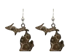 MI State, Petoskey Stone Earrings, #2132