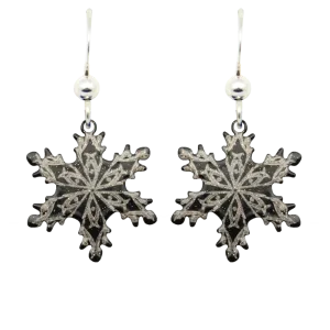 Midnight Snowflake