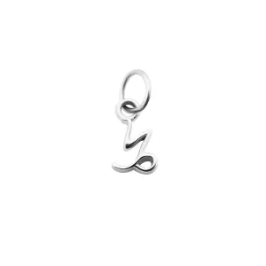 MINI ZODIAC CHARMS | Silver