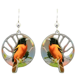 Oriole