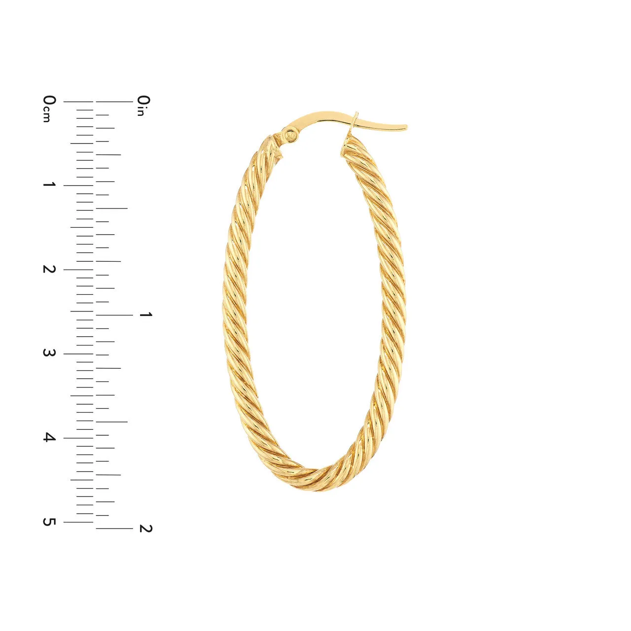 Oval Rope Twist Hoop Earrings