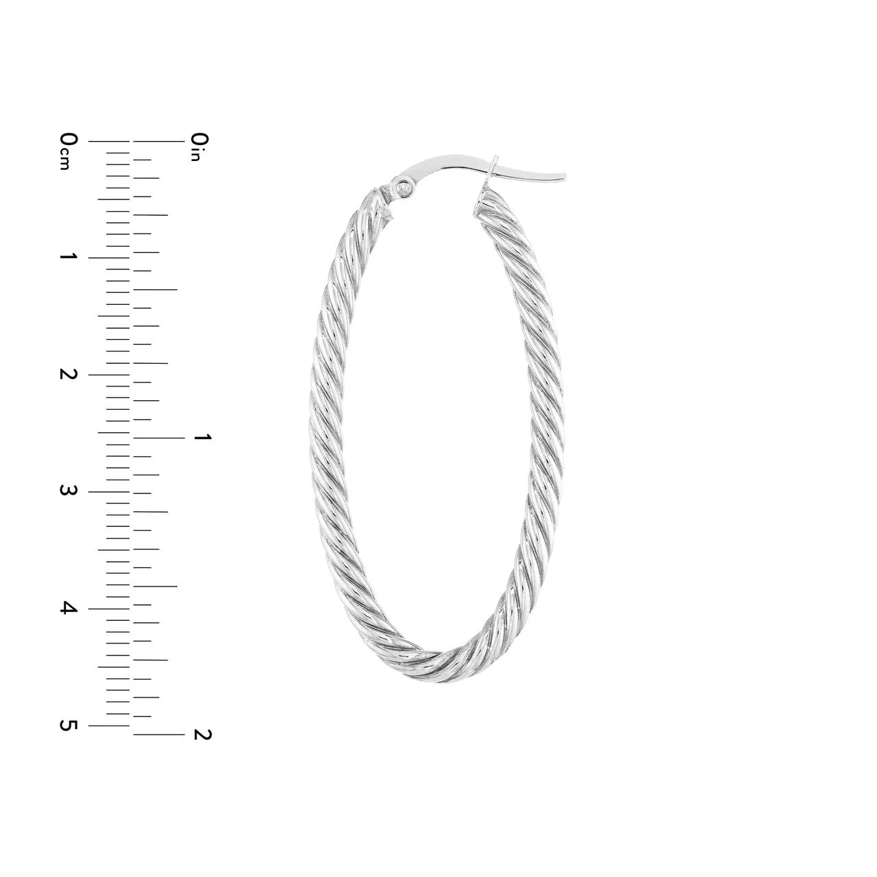 Oval Rope Twist Hoop Earrings