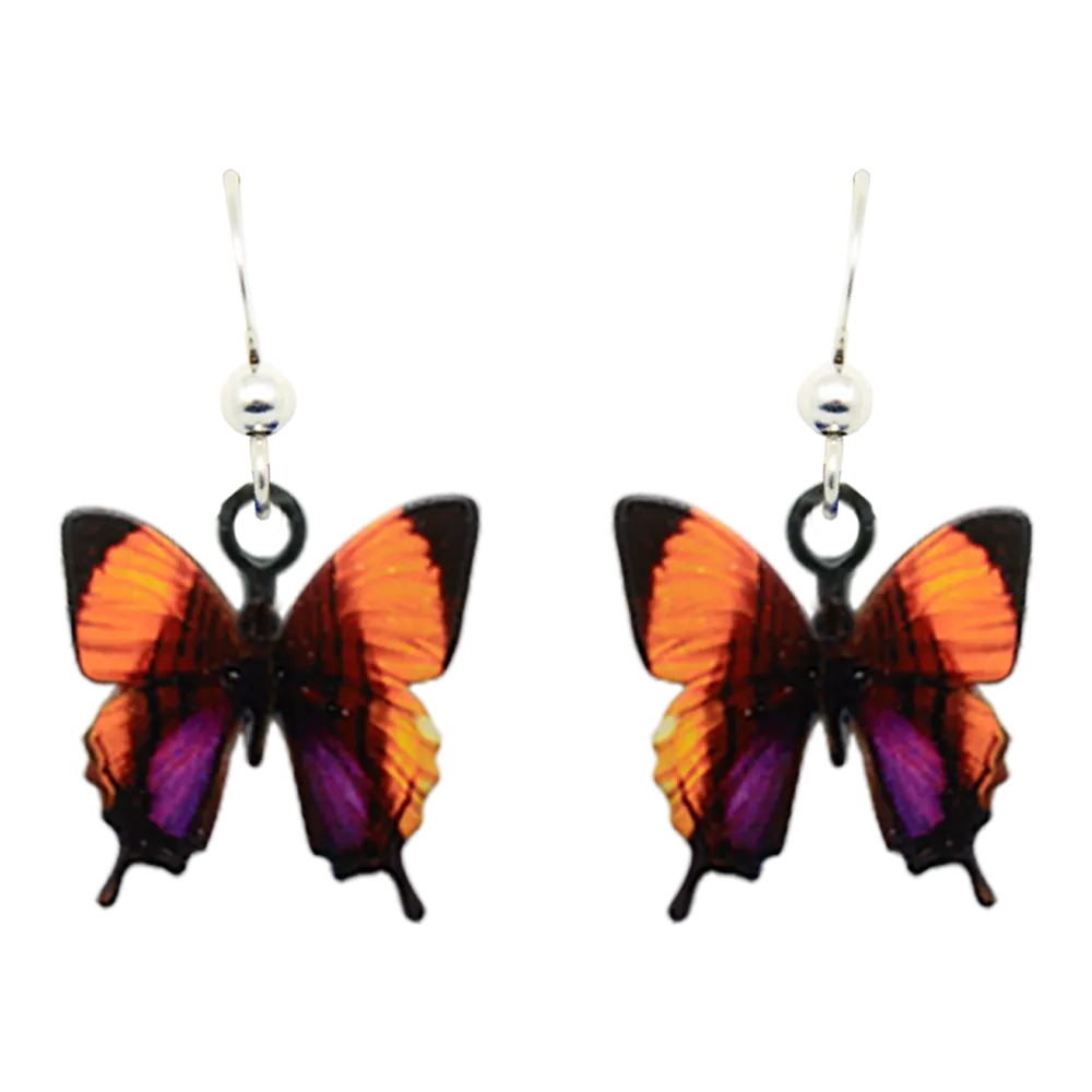 Purple Stained Swallowtail
