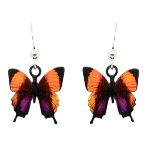 Purple Stained Swallowtail