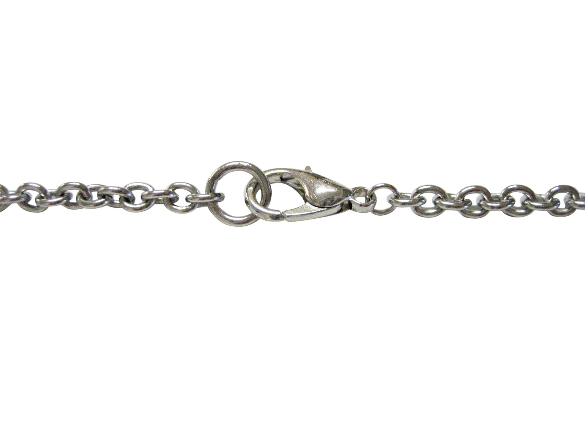 Silver Toned Etched South Carolina State Flag Pendant Necklace