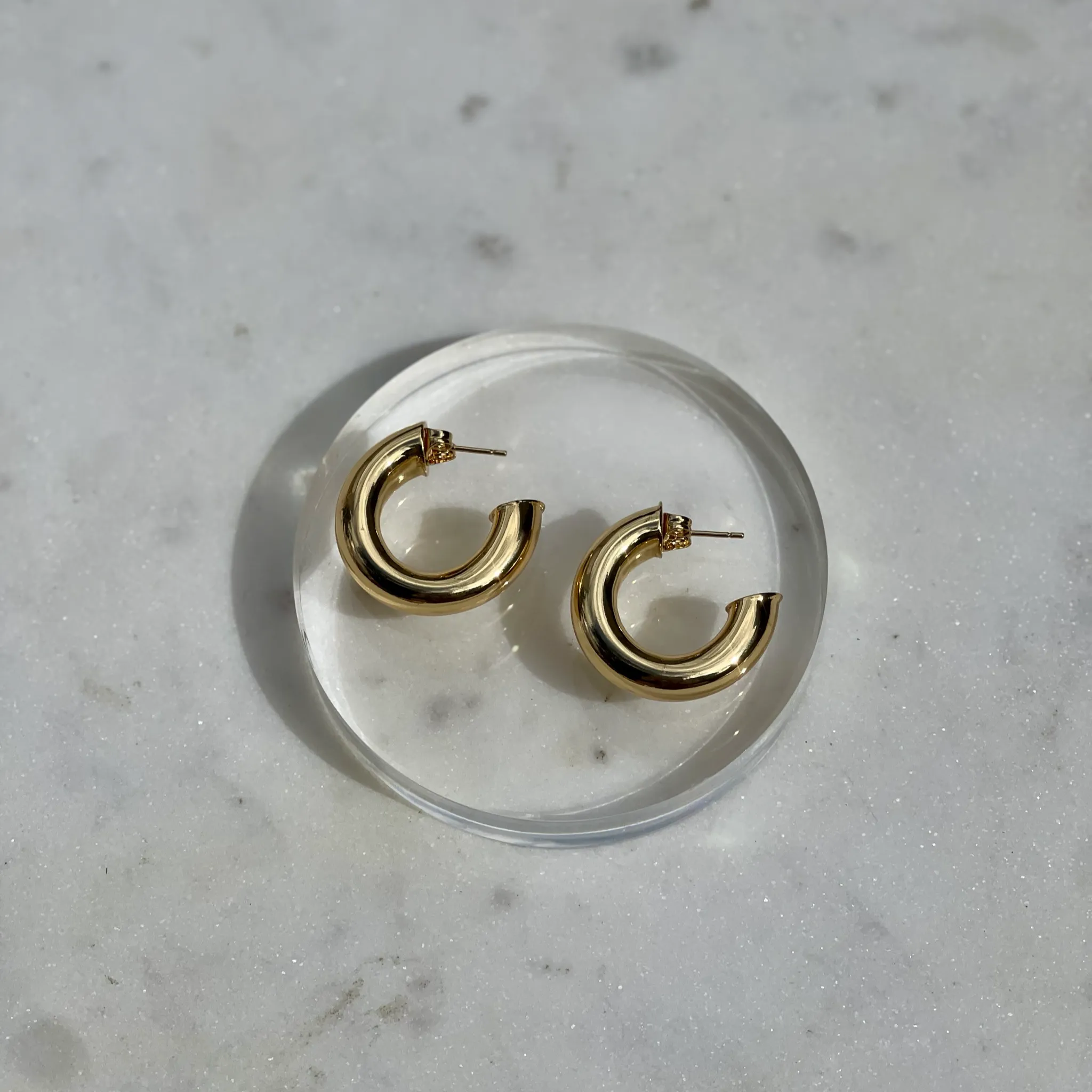Susana Hoops