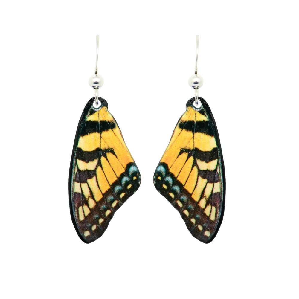 Tiger Swallowtail